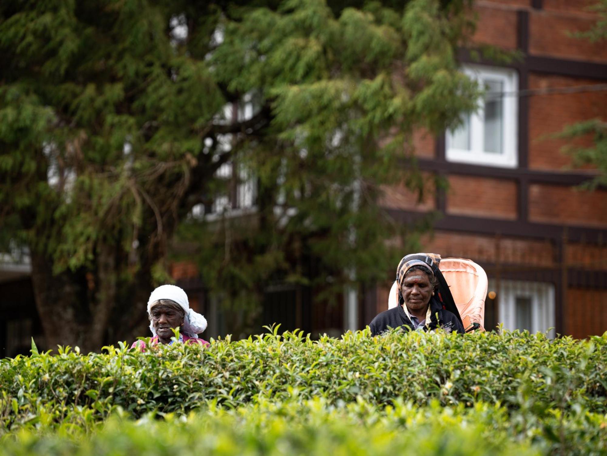 Winchester Little England Nuwara Eliya Zewnętrze zdjęcie